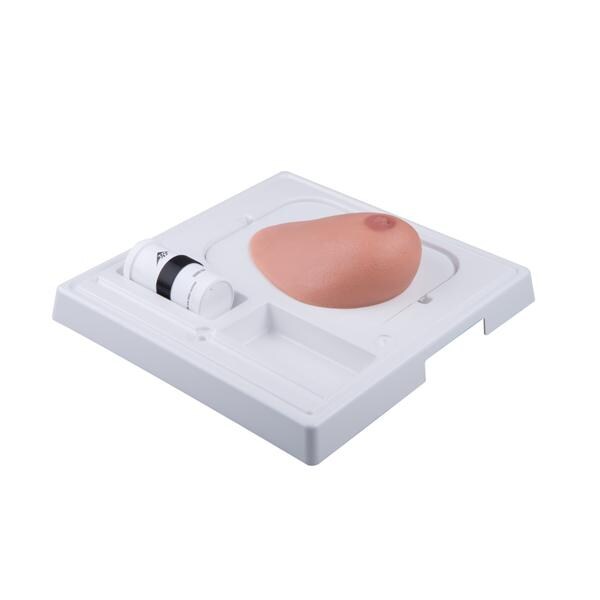 SONOtrain Breast Examination Trainer Model Ea