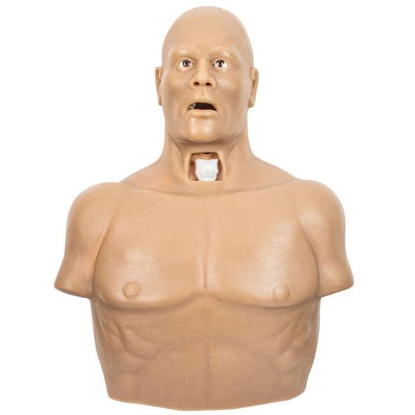 STOPS Medical Upper Half Trainer Manikin Ea