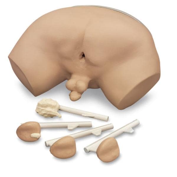 Life/form Training Adult Simulator Ea