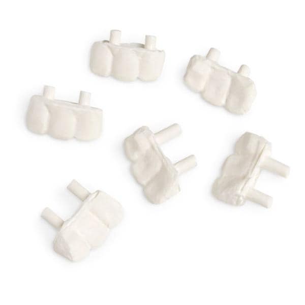 Stat Manikin Teeth Replacement Teeth Each