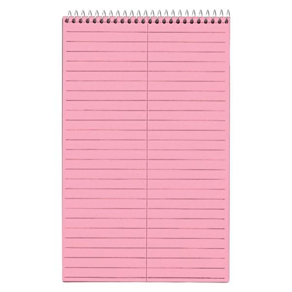 Color Steno Books 6 in x 9 in Gregg Ruled 80 Sheets 4/Pk