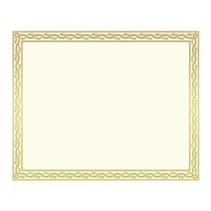 Blank Certificates 8.5 in x 11 in Serpentine Gold Foil 12/Pack 12/Pk