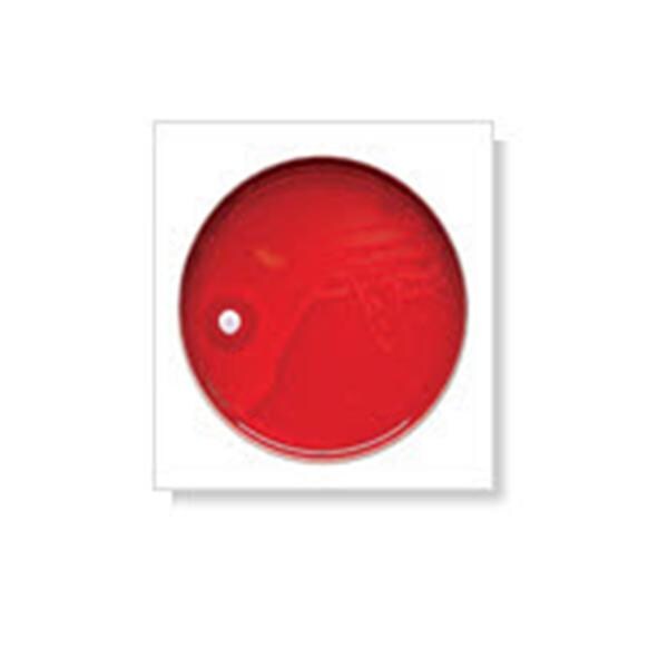 Sensi-Disc Hippurate Taxo Sensitivity Disk Ea
