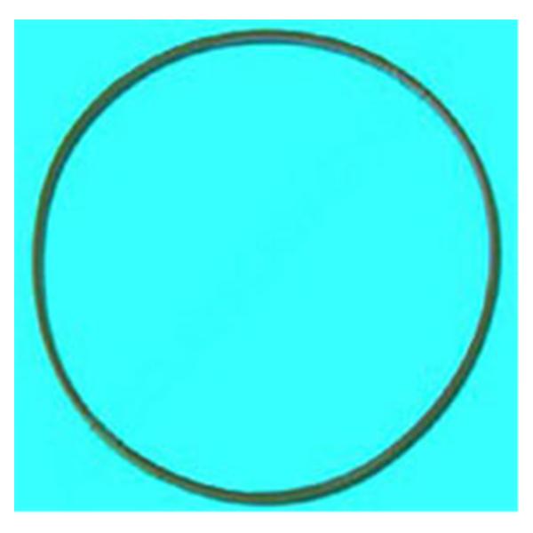 Door Gasket For Chemiclave 5000 5000 Ea