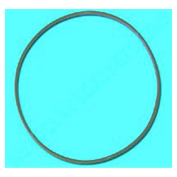 Door Gasket For Chemiclave 5500 5500 Ea