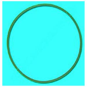 Door Gasket For Chemiclave 6000 6000 Ea