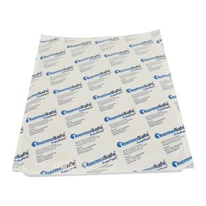 Thermosafe PolarPack Foam Brick Refrigerant 9x1x1-1/2" Package 31...