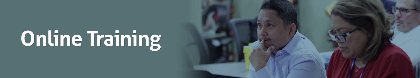 Online Training