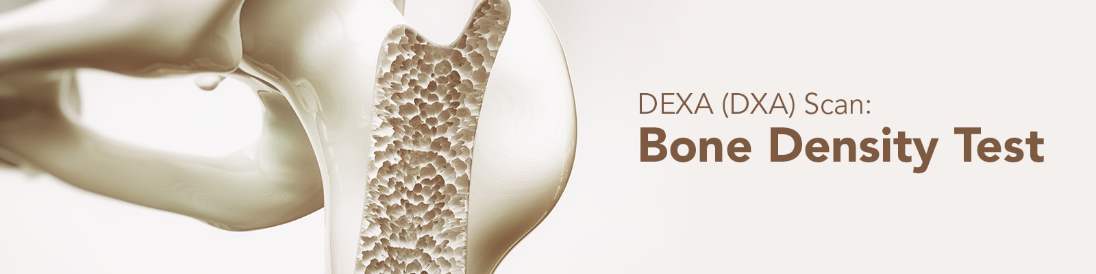 Bone Density Scanner | DEXA (DXA) Scanner